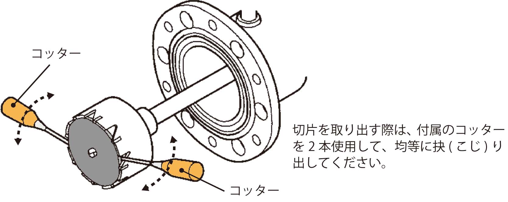 A2SA2切片除去.jpg